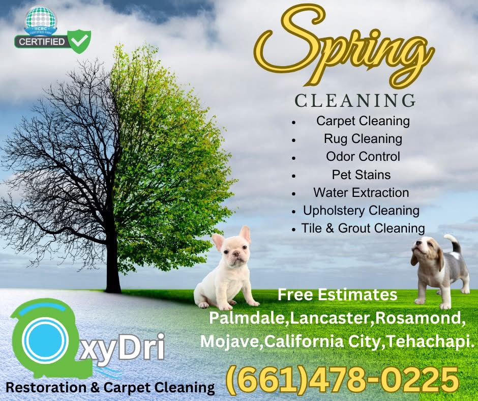 Oxydri Restoration service van